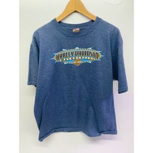Men's Harley Davidson Motorcycle T-Shirt, Size Large, Grey/Blue, Marlon, Indiana